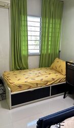 Petir Road (Bukit Panjang),  #561777481